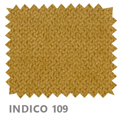 Indico 109